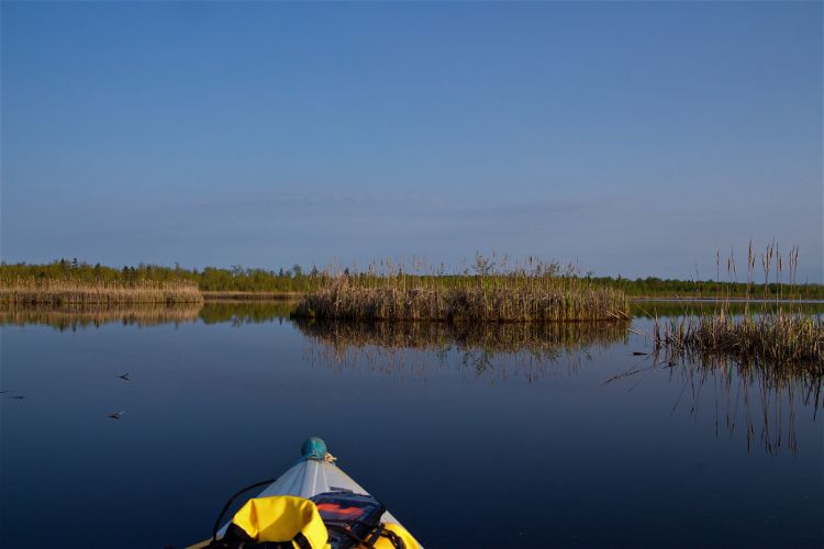lemieux eaux lac marais kayak